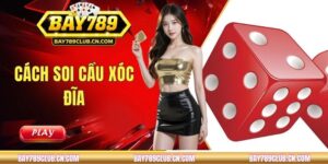 Cách Soi Cầu Xóc Đĩa Và Ứng Dụng Thực Tế Khi Cá Cược