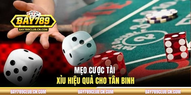 Mẹo cược tài xỉu hiệu quả cho hội viên mới